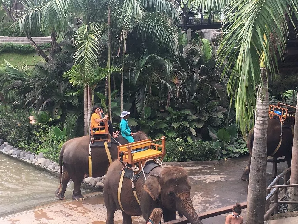 Bali - Reiten auf Elefanten