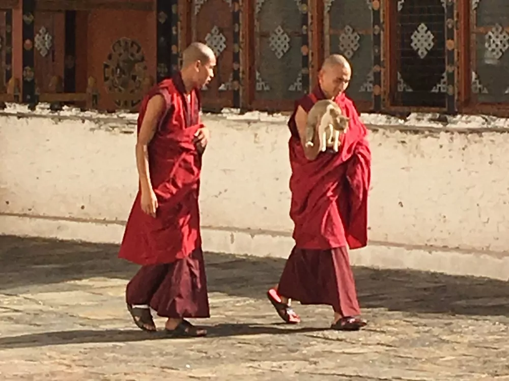 Zwei Mönche mit Katze in Bhutan
