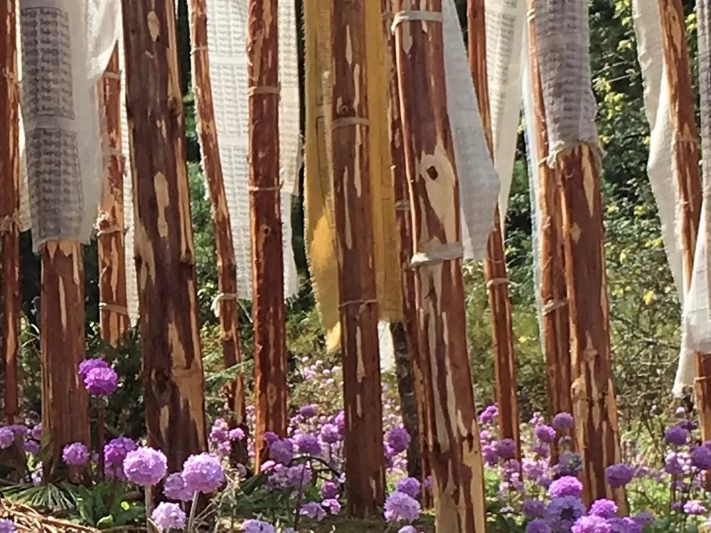 Gebetsfahnen und Blumen in Bhutan