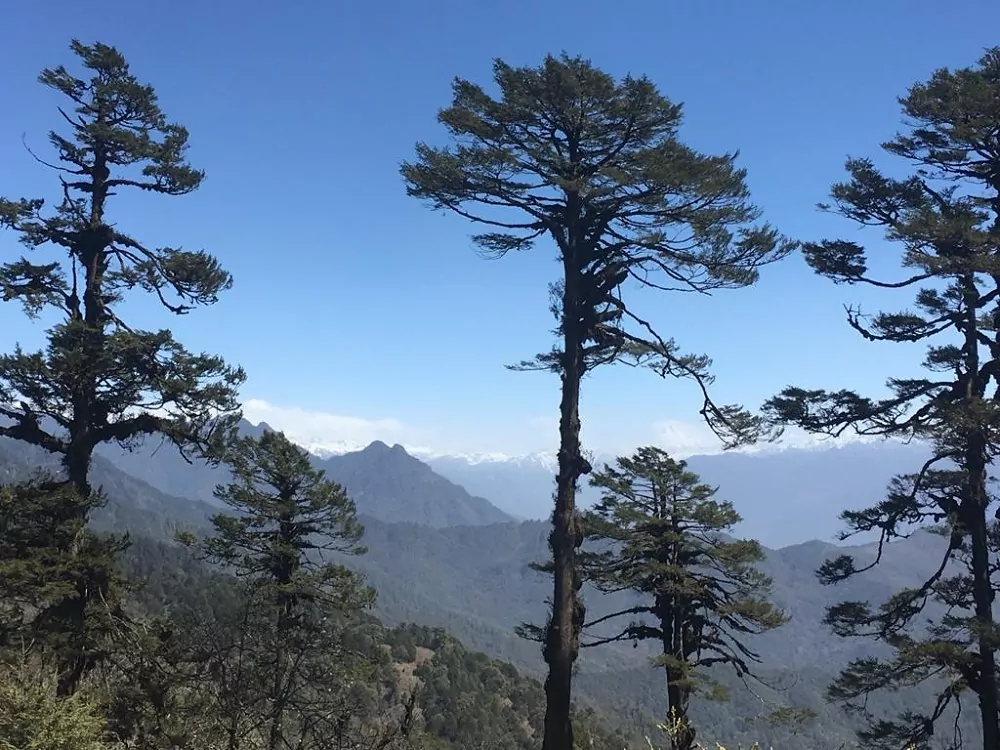 Blick ins Gebirge in Bhutan
