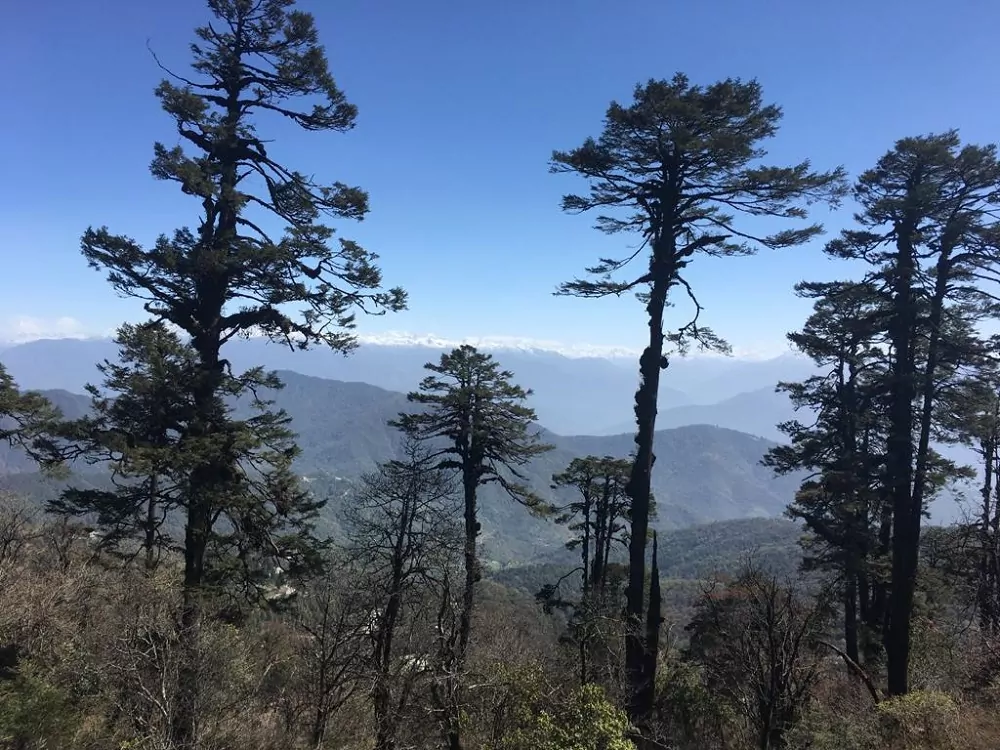 Blick aufs Gebirge in Bhutan