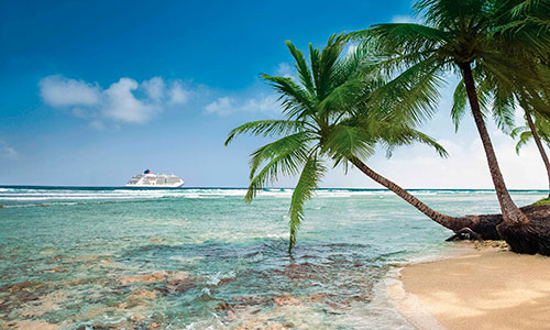 MS Europa See mit Strand und Palme