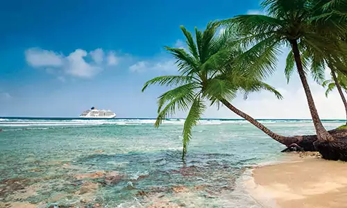 MS Europa See mit Strand und Palme