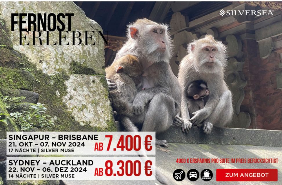 nl19-ssc-versch-angebote_4