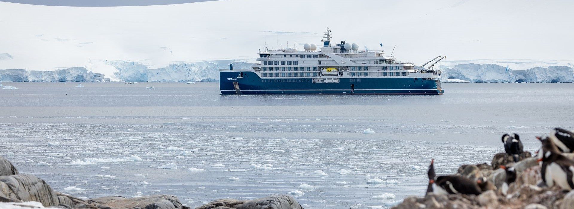 SH Minerva in der Antarktis mit Pinguinen