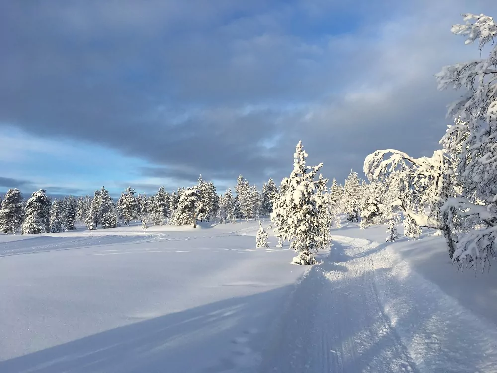 Schneelandschaft in Finnland