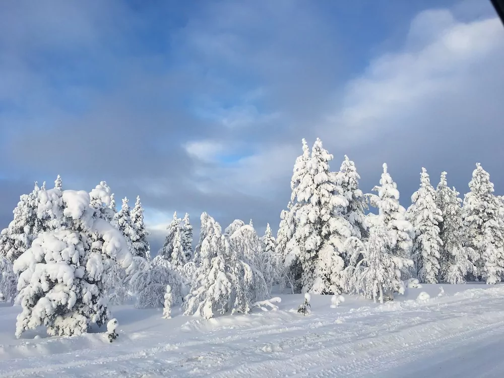 Winterlandschaft in Finnland