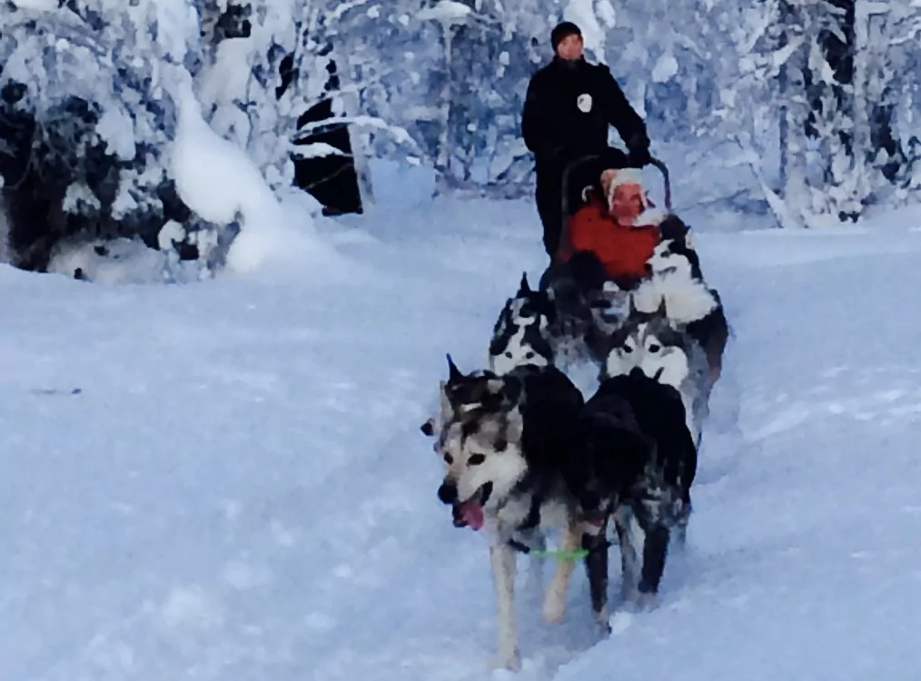 auf Schlittenhundefahrt in Finnland