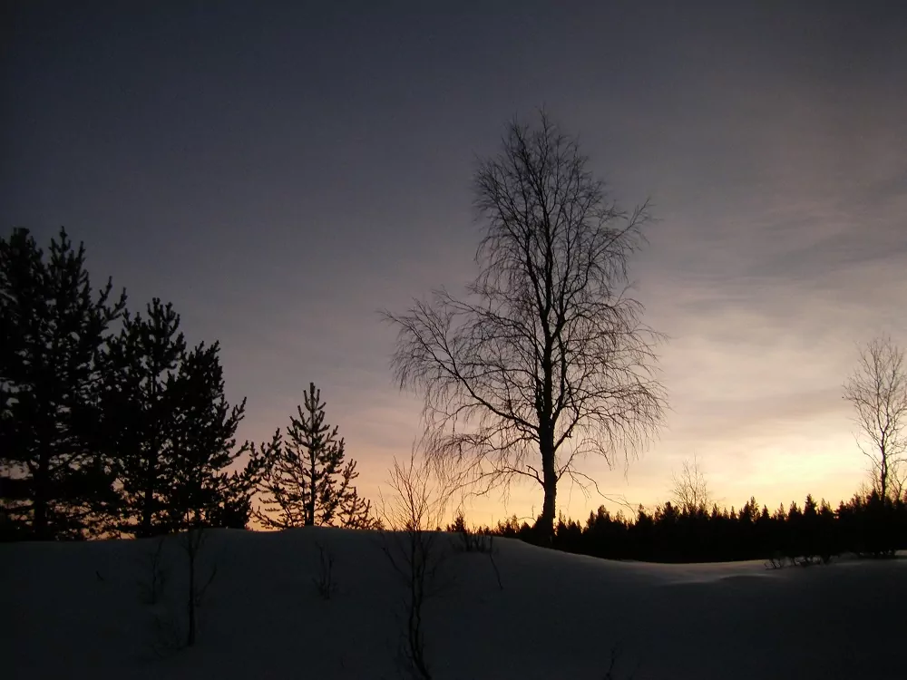 Abendstimmung in Finnland