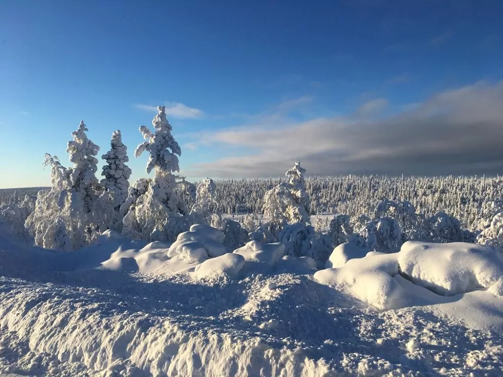 Schneelandschaft und blaue Himmel in Finnland
