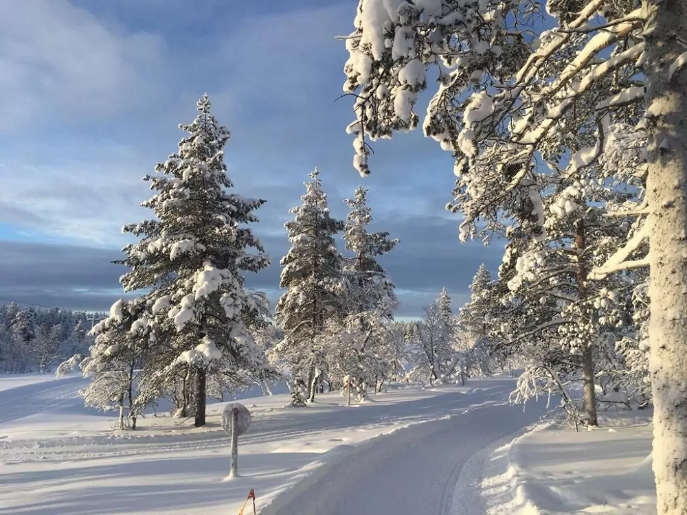 Schneelandschaft in Finnland